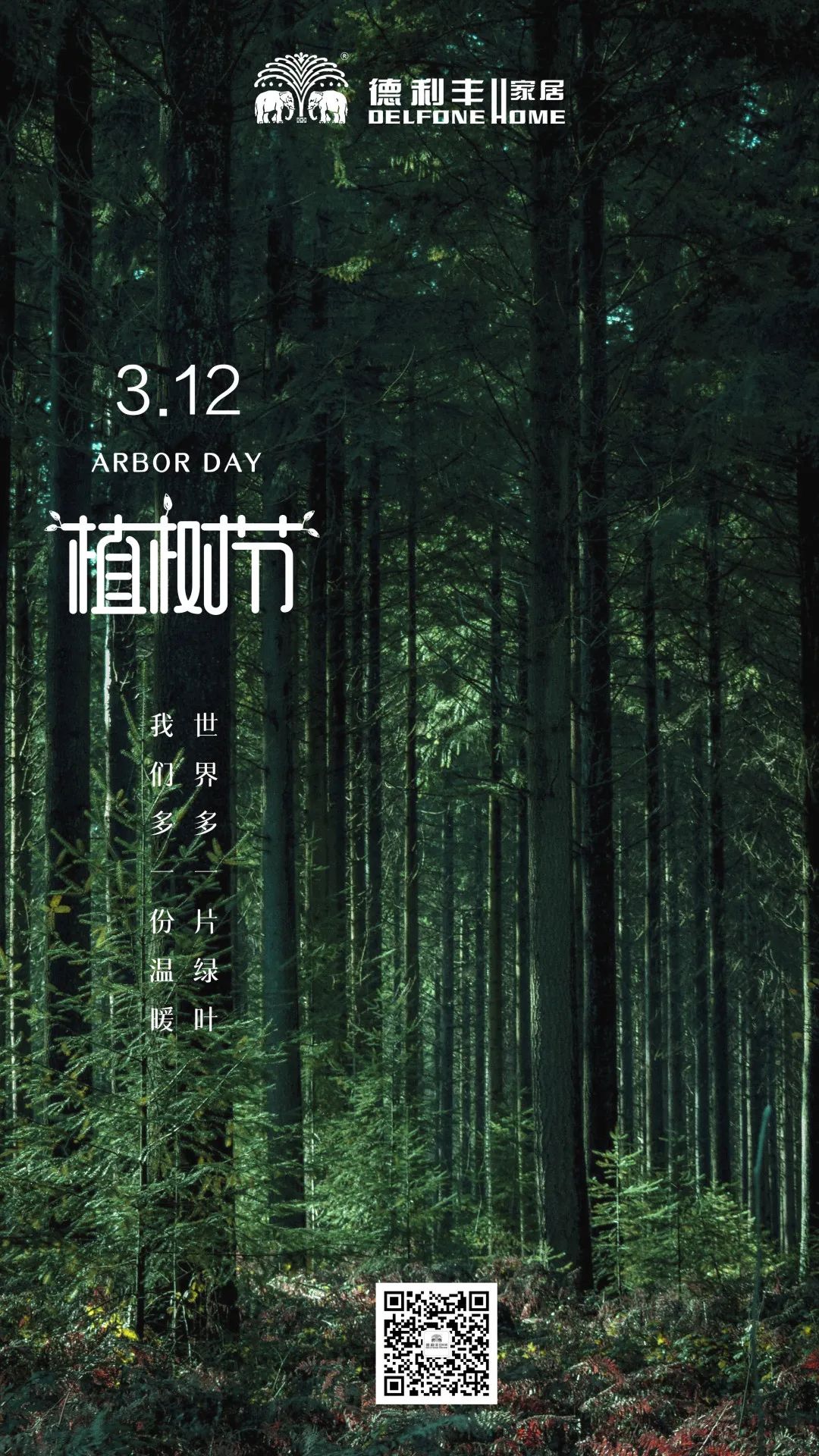 【3.12植樹節】|| 木紋系列——把自然氣息帶回家(圖2)