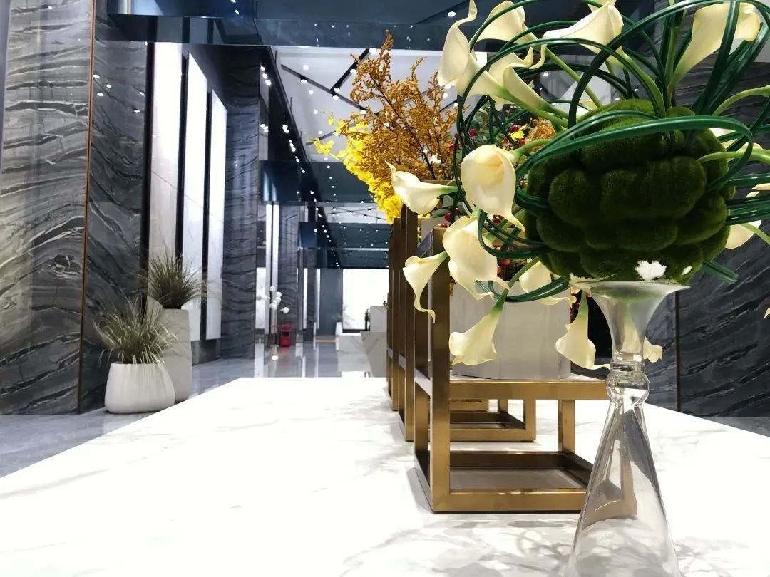 禪城區府辦副主任赴德利豐家居開展調研工作(圖1)