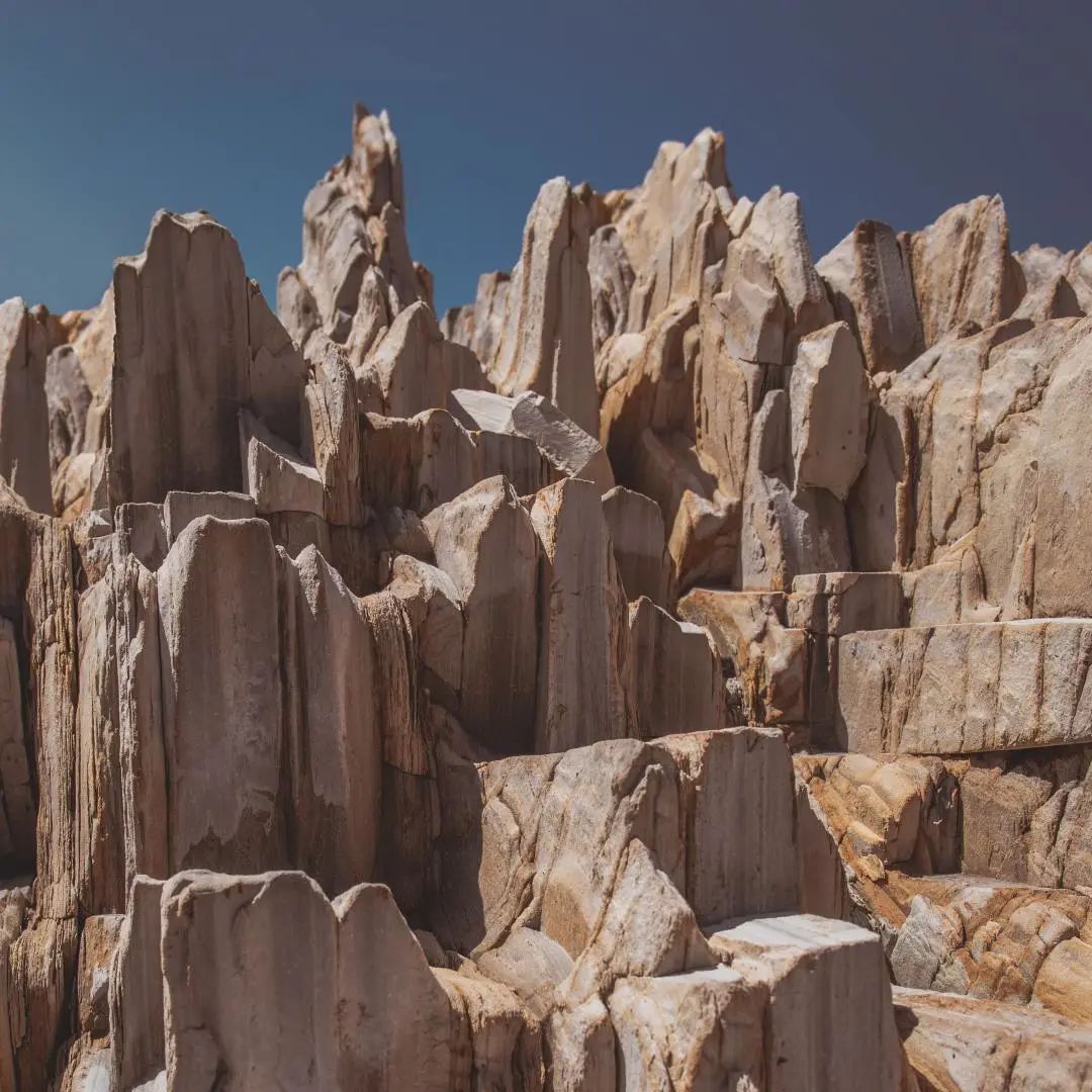 漲姿勢(shì)，2020年最出彩的裝修材料 居然是它(圖9)