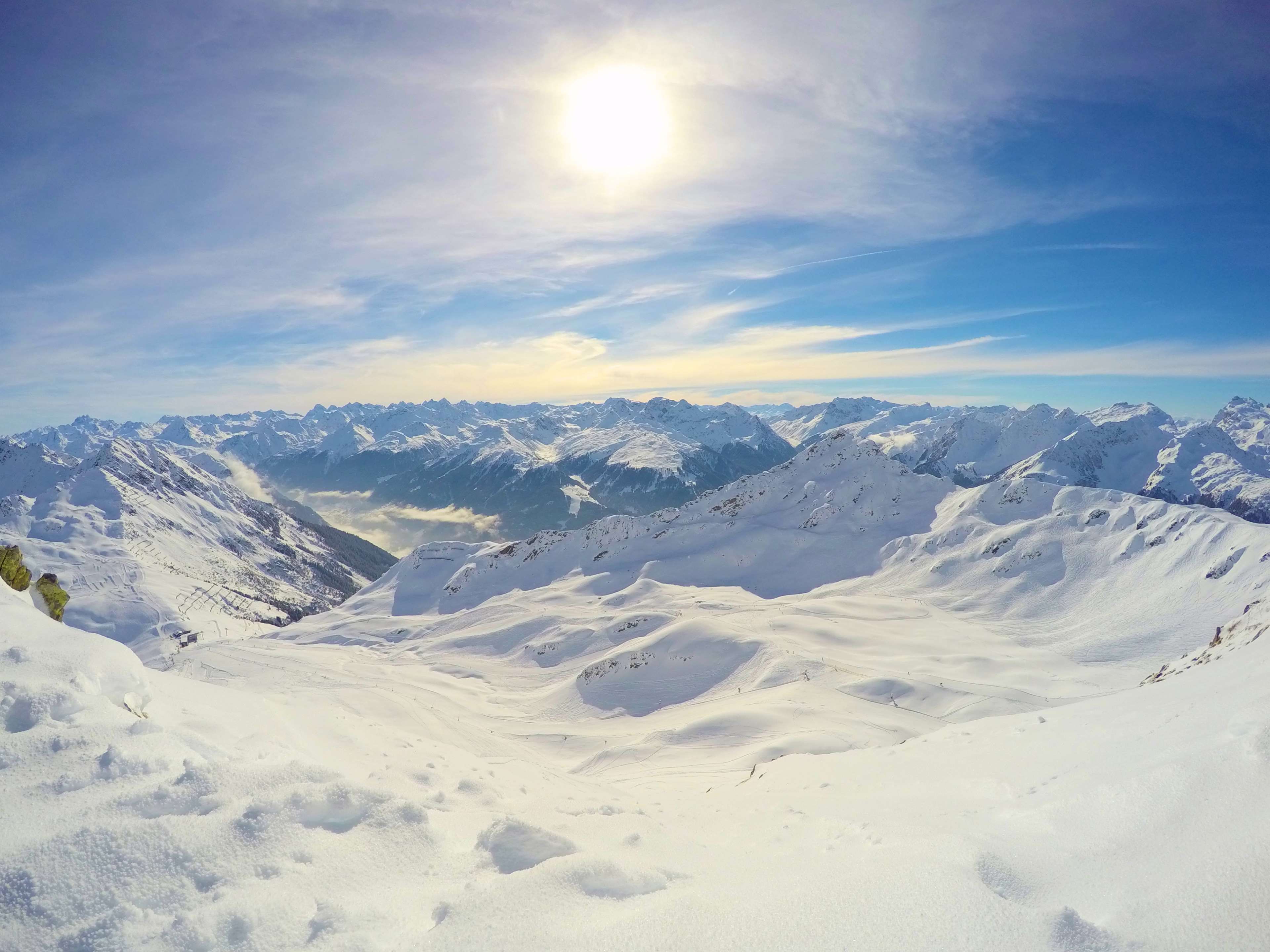 DELFONE新品 | 細線白，無暇中展現家居的生機盎然(圖1)