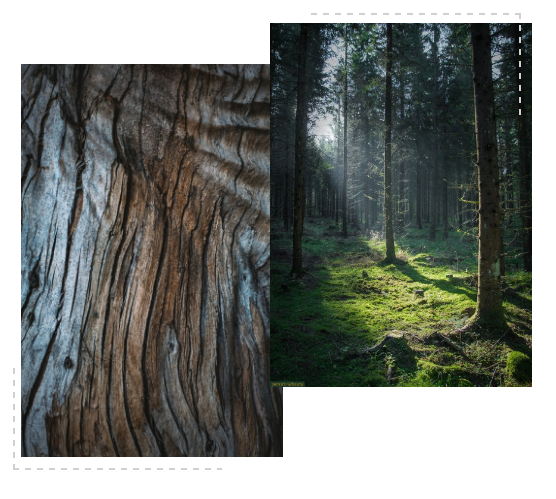 德利豐跨年特輯|跨越2020，2021再攀高峰！(圖8)