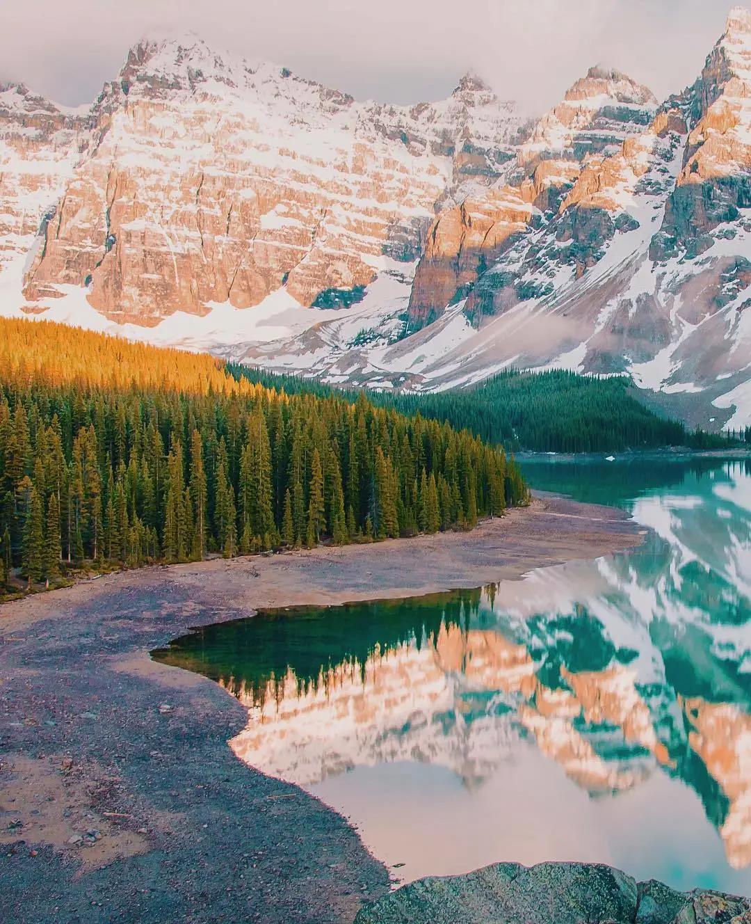 DELFONE新品 | 卡比亞金棕石、卡比亞石紋灰鑄就高端的質感居所(圖1)