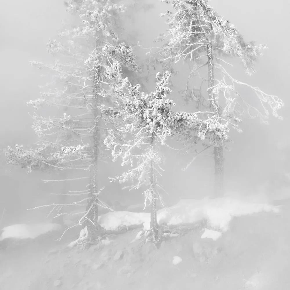 極光白全新升級|多種工藝多個規格,釋放質感張力!(圖1) 極光白全新升級|多種工藝多個規格,釋放質感張力!(圖1)