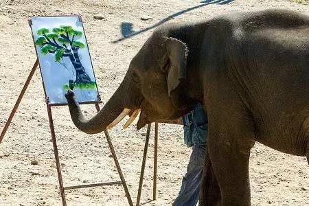 為愛發聲丨 德利豐家居“關愛大象媒體聯盟”關(圖10)