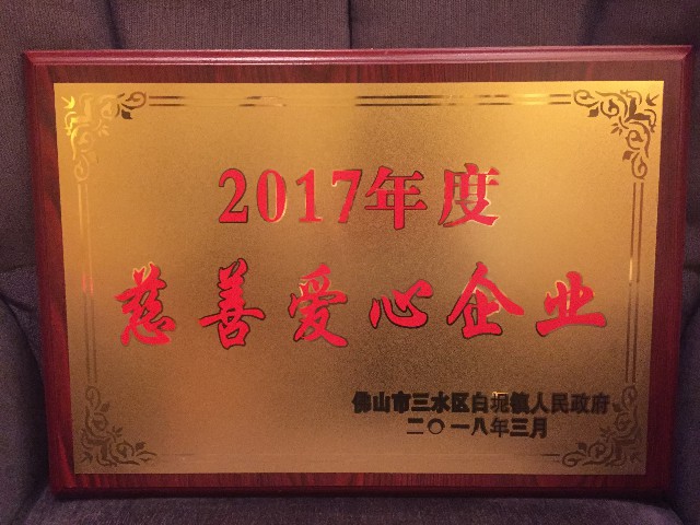 實力認證：金牌企業一天摘得5項政府級的榮譽！(圖11)