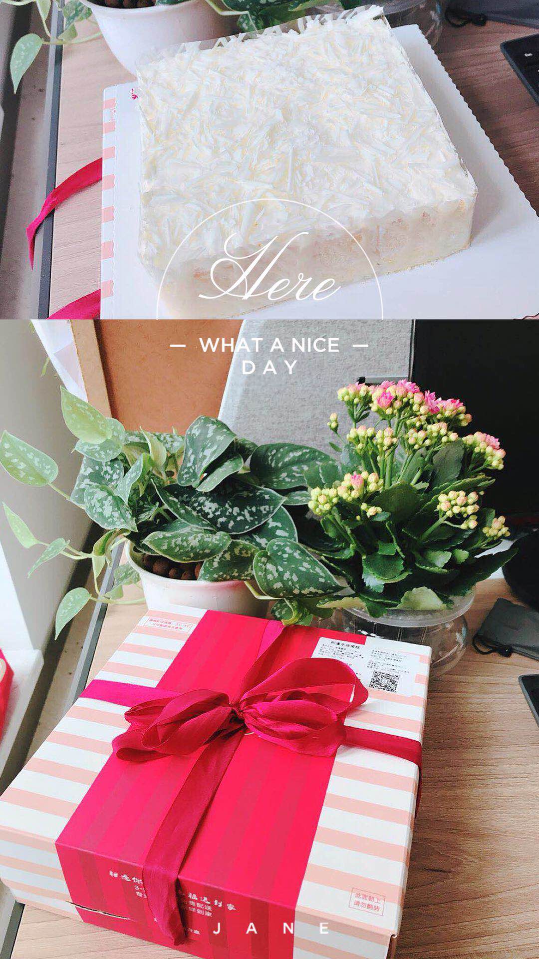 女神節|春風桃花十里，不如美麗的你(圖14)