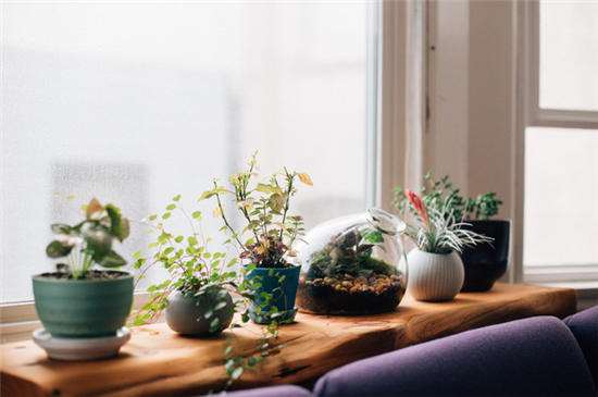 80、90后,別再將就生活啦!(圖7) 80、90后,別再將就生活啦!(圖7)