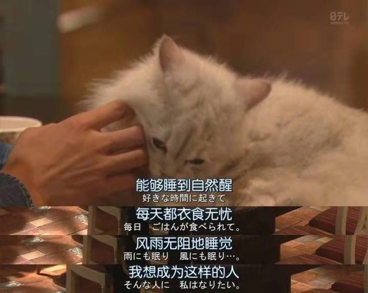 80、90后，別再將就生活啦！(圖12)