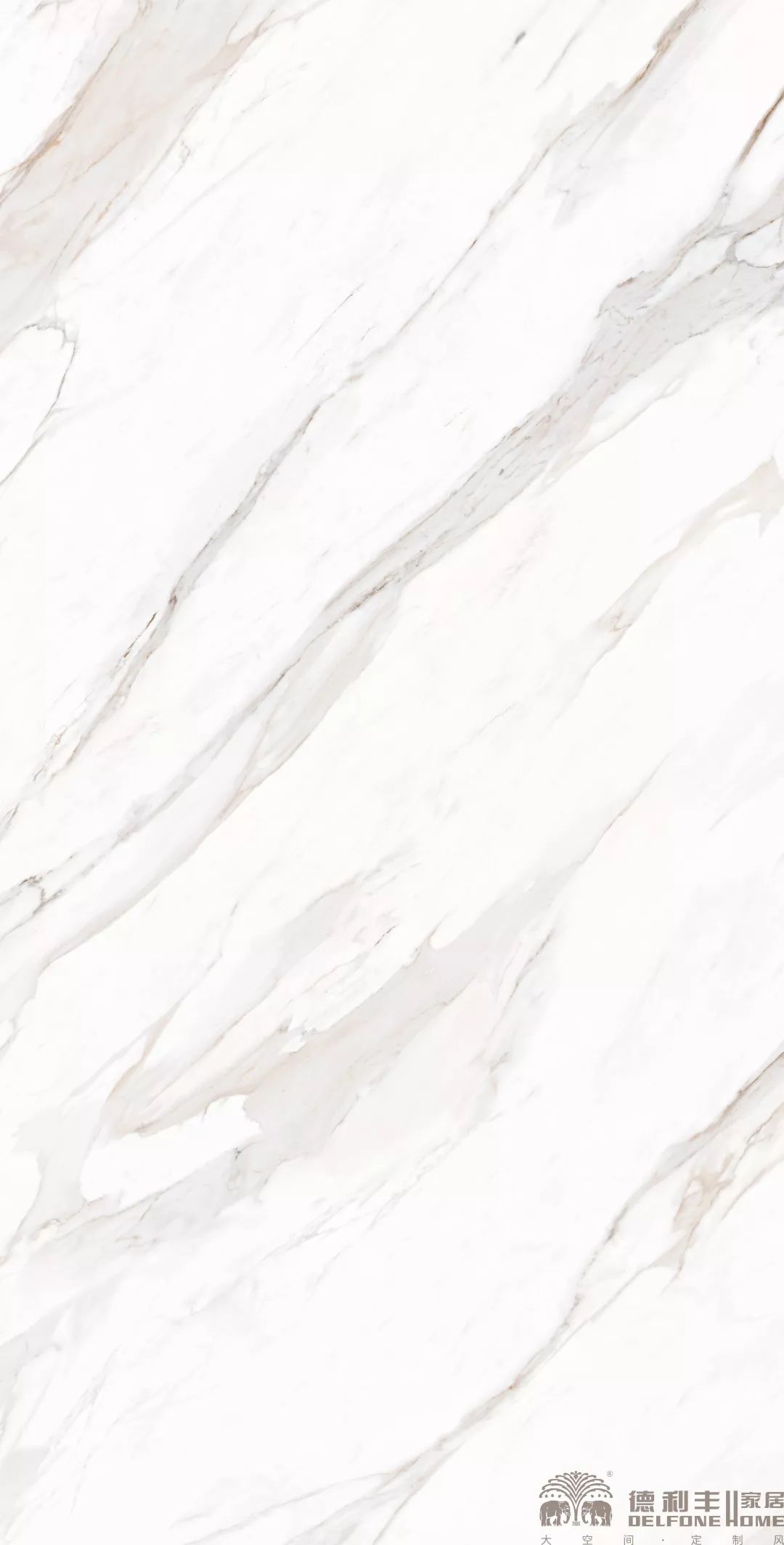 魚肚金為什么名貴?揭秘產品背后的故事(圖6) 魚肚金為什么名貴?揭秘產品背后的故事(圖6)