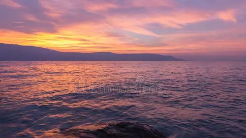 魚肚金為什么名貴?揭秘產品背后的故事(圖7) 魚肚金為什么名貴?揭秘產品背后的故事(圖7)