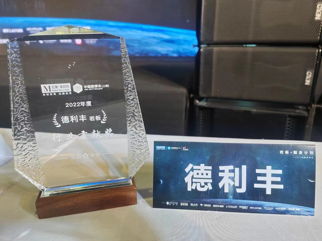 2023年中國建博會(上海)| 德利豐榮獲2022年度行業貢獻獎(圖5) 圖片